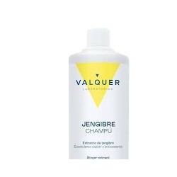 CHAMPU JENGIBRE GINGER...